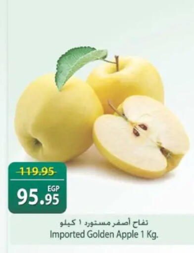 Apple available at سبينس in Egypt - القاهرة