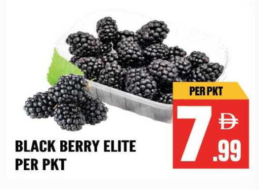 available at Dream Land in UAE - Sharjah / Ajman
