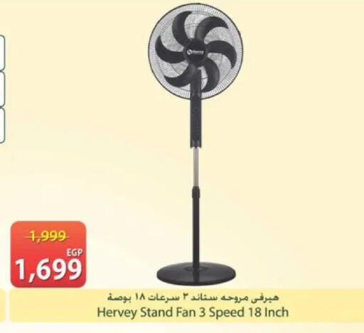 available at سبينس in Egypt - القاهرة