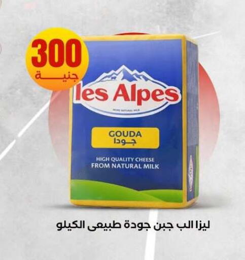 available at المحلاوي ستورز in Egypt - القاهرة