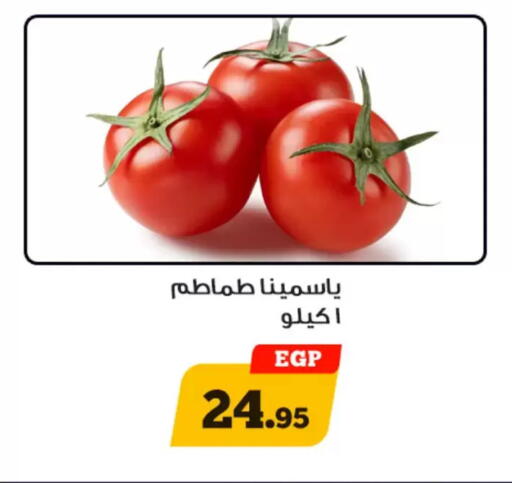 available at Awlad Ragab in Egypt - Cairo