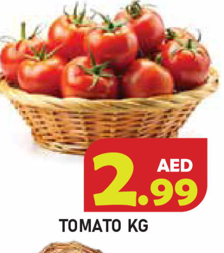 Tomato available at سنابل بني ياس in الإمارات العربية المتحدة , الامارات - أم القيوين‎