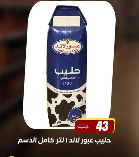 available at Ghallab Market in Egypt - Cairo