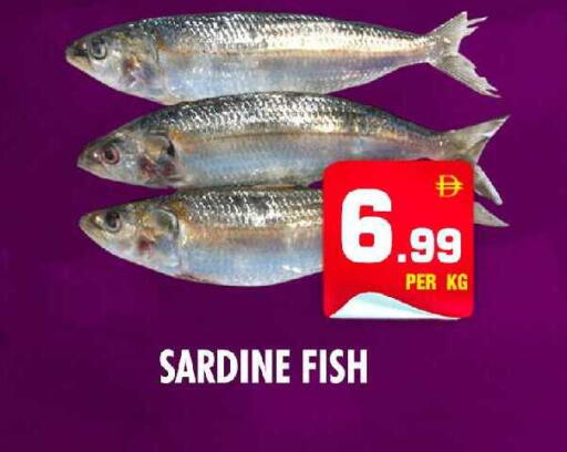 available at نايت تو نايت in الإمارات العربية المتحدة , الامارات - الشارقة / عجمان