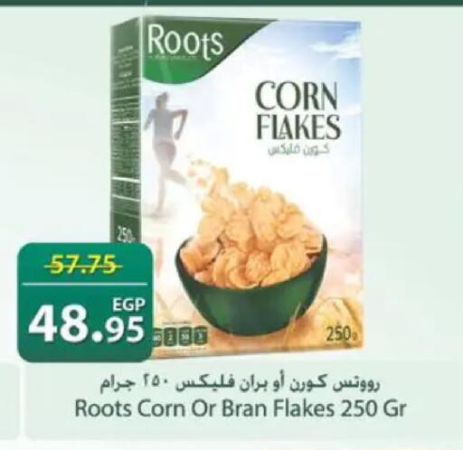 available at سبينس in Egypt - القاهرة