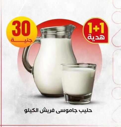 available at المحلاوي ستورز in Egypt - القاهرة