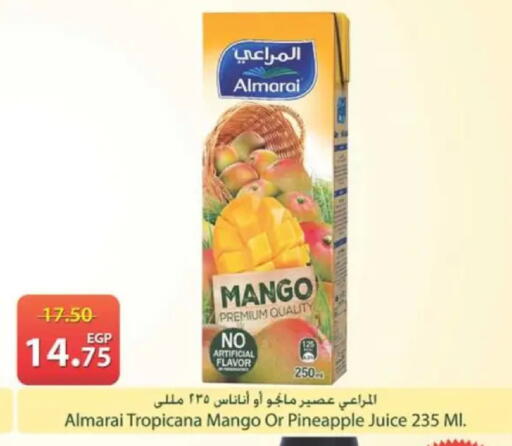 Mango Pineapple available at سبينس in Egypt - القاهرة