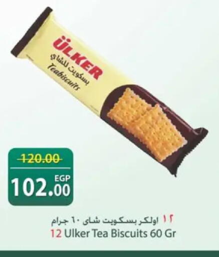 available at سبينس in Egypt - القاهرة