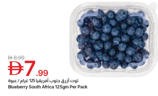 Blueberry BlueBerry from South Africa available at Emirates Co-Operative Society in UAE - Dubai