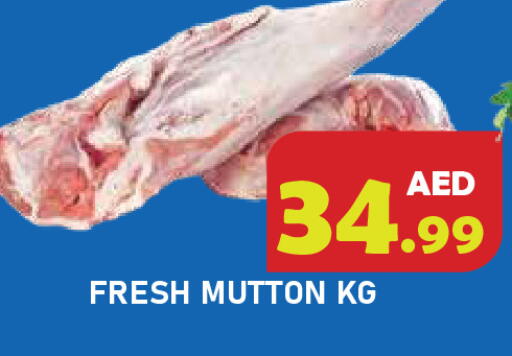 available at سنابل بني ياس in الإمارات العربية المتحدة , الامارات - رَأْس ٱلْخَيْمَة