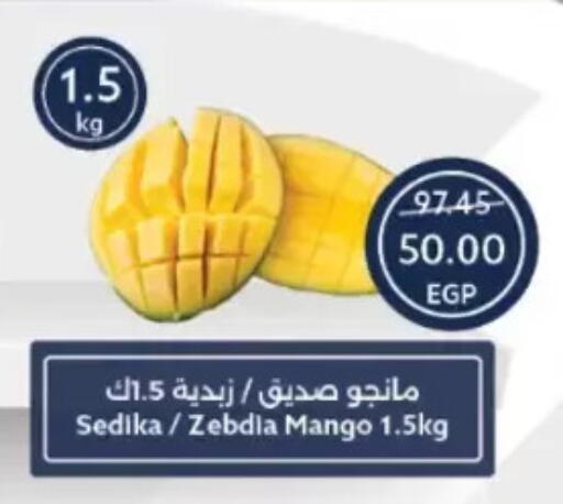Mango available at Oscar Grand Stores  in Egypt - Cairo