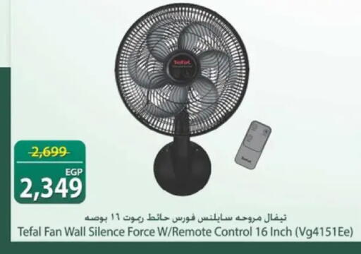 available at سبينس in Egypt - القاهرة