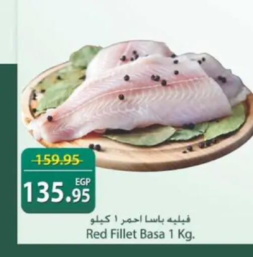 available at سبينس in Egypt - القاهرة