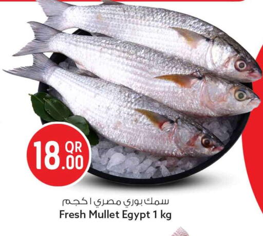available at سفاري هايبر ماركت in قطر - الوكرة