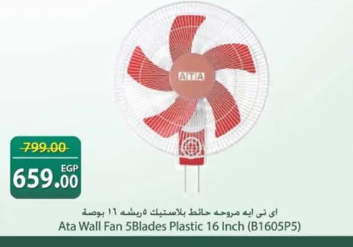 available at سبينس in Egypt - القاهرة