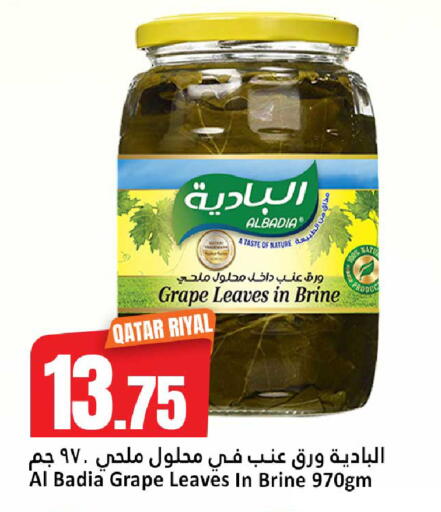 available at دانة هايبرماركت in قطر - الريان