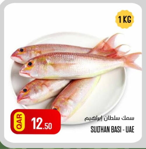 available at Al Baladi Al Yawm in Qatar - Al Rayyan