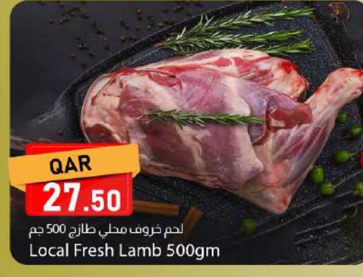 available at دانا ماركت in قطر - الريان