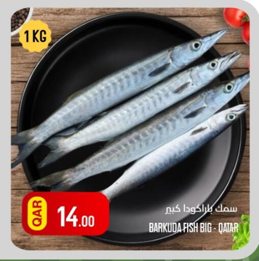 available at Al Baladi Al Yawm in Qatar - Al Rayyan