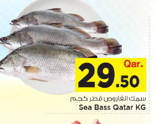 available at Mark & Save  in Qatar - Doha