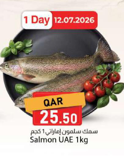 available at Dana Market in Qatar - Al Rayyan