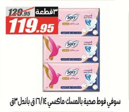 available at El Fergany Hyper Market   in Egypt - Cairo