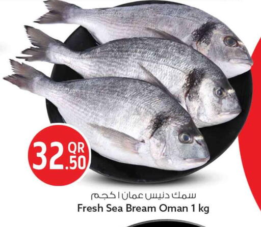 available at Safari Hypermarket in Qatar - Al Wakra
