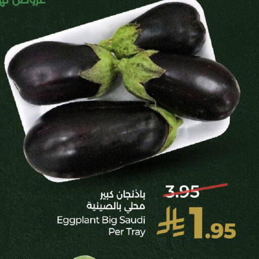 Eggplant from Saudi Arabia available at LULU Hypermarket in KSA, Saudi Arabia, Saudi - Riyadh