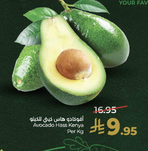 Avocado from Kenya available at LULU Hypermarket in KSA, Saudi Arabia, Saudi - Riyadh