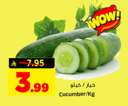 Cucumber available at المدينة هايبرماركت in مملكة العربية السعودية, السعودية, سعودية - الرياض