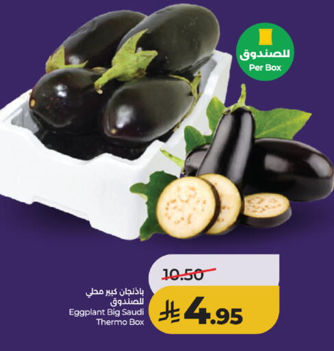 Eggplant from Saudi Arabia available at لولو هايبرماركت in مملكة العربية السعودية, السعودية, سعودية - جدة