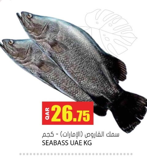 available at جراند هايبرماركت in قطر - الشحانية
