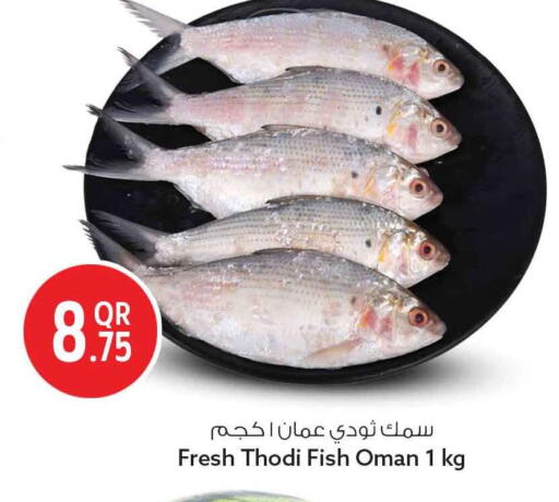 available at Safari Hypermarket in Qatar - Al Wakra