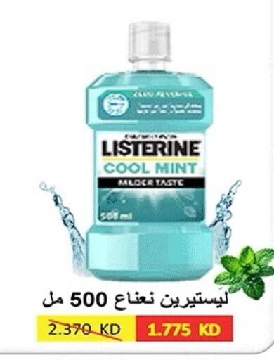 Mint available at جمعية ضاحية صباح الناصر التعاونية in الكويت - مدينة الكويت