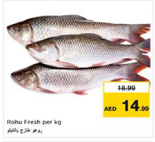 available at Nesto Hypermarket in UAE - Sharjah / Ajman