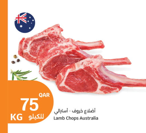 available at سيتي هايبرماركت in قطر - الشحانية