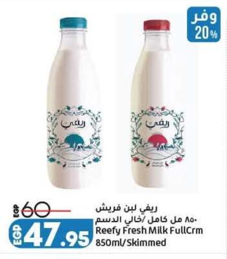 available at لولو هايبرماركت in Egypt - القاهرة