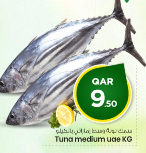 available at مارك & سيف in قطر - الشحانية