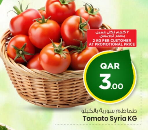 Tomato from Syria available at مارك & سيف in قطر - الشحانية