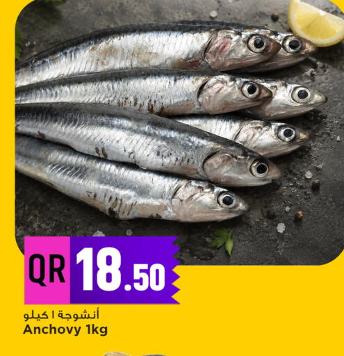 available at مرزا هايبرماركت in قطر - الريان