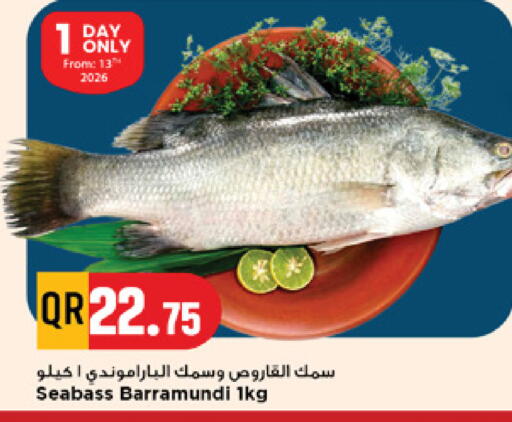 available at مرزا هايبرماركت in قطر - الريان