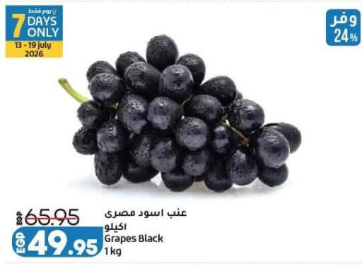 Grapes available at لولو هايبرماركت in Egypt - القاهرة