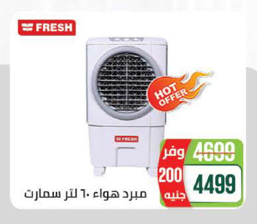 available at Seoudi Supermarket in Egypt - Cairo