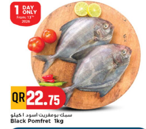 available at مرزا هايبرماركت in قطر - الريان