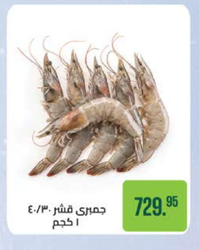 available at سعودي سوبرماركت in Egypt - القاهرة