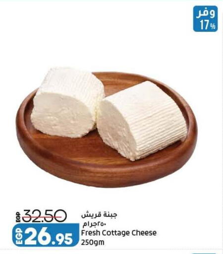 available at لولو هايبرماركت in Egypt - القاهرة