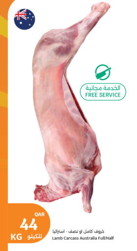 available at سيتي هايبرماركت in قطر - الشحانية