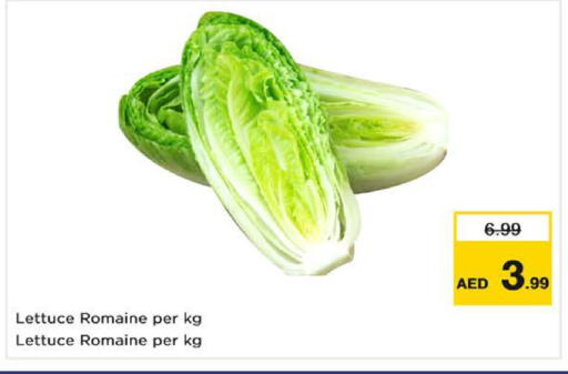 Lettuce available at Nesto Hypermarket in UAE - Sharjah / Ajman