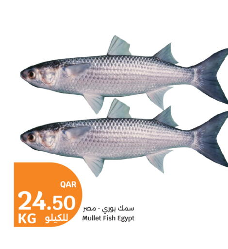 available at City Hypermarket in Qatar - Doha
