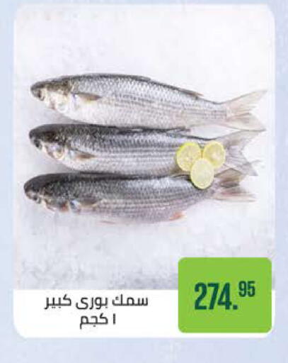 available at سعودي سوبرماركت in Egypt - القاهرة